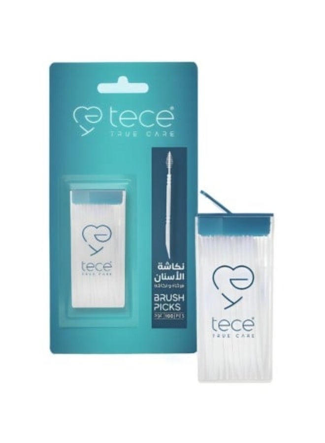 Double Action Dental Toothpicks - 100 Sticks